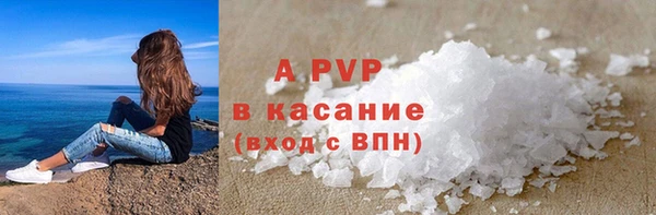 сатива Абинск