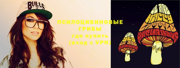 сатива Абинск