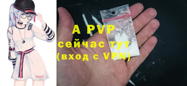 сатива Абинск