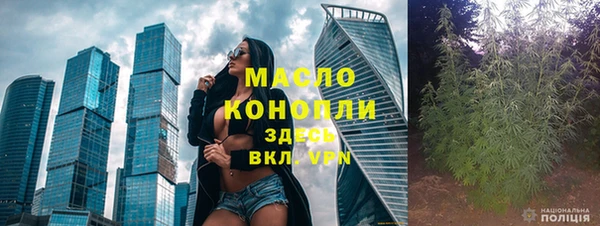 сатива Абинск