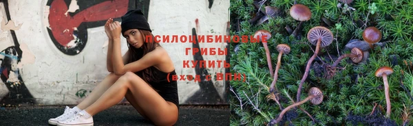 меф Абаза